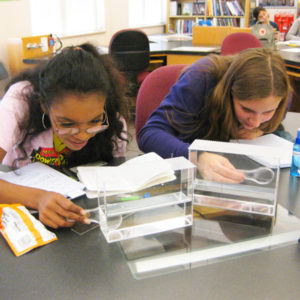 Students doing a science investigation during Sci-Trek for Future Scientists